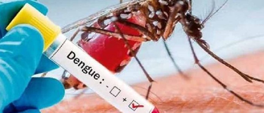 202007121154086913 dengue prevention efforts stifled by coronavirus pandemic secvpf