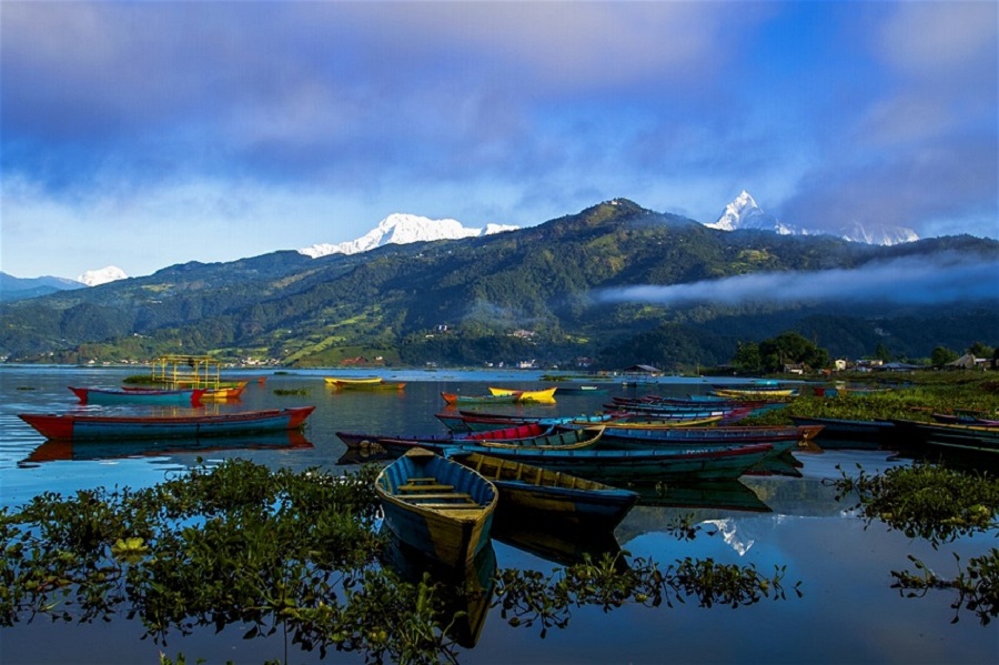 331030564pokhara