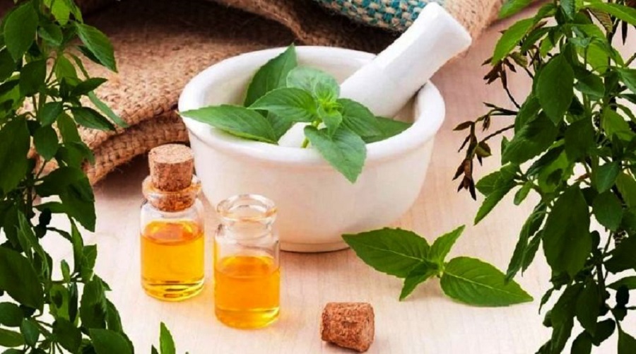 प्राचिन जडिबुटी खोज्न थाल्यो डब्लुएचओ, के जडिबुटीले निको हुन्छ त कोरोना ?