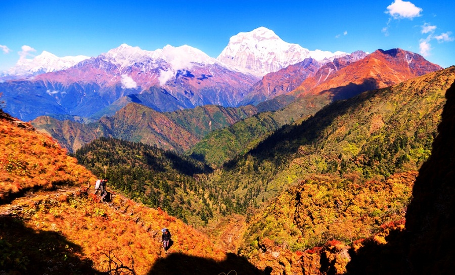 Dhaulagiri icefall padyatra