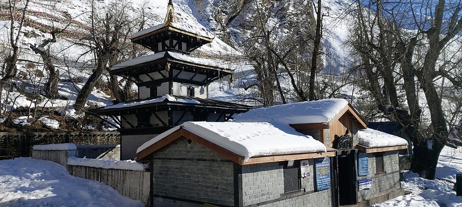 Muktinath himpat xvmde590b1