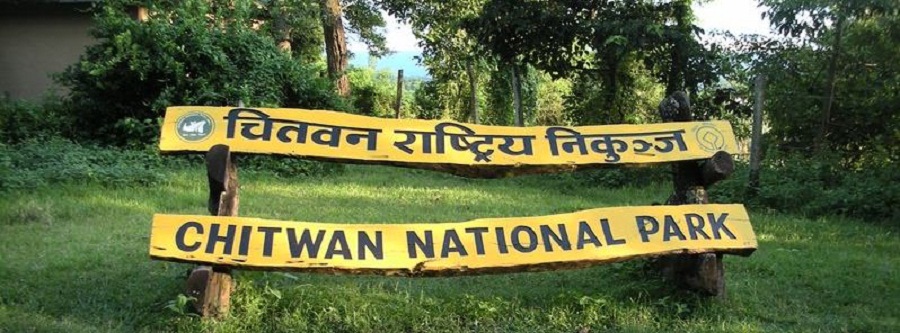 Chitwan park