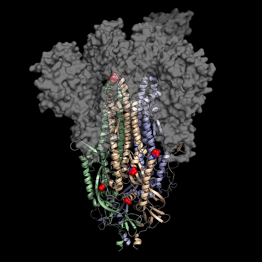 Covid 19 vaccin 9