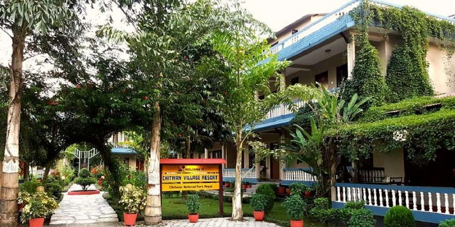 Sauraha hotel