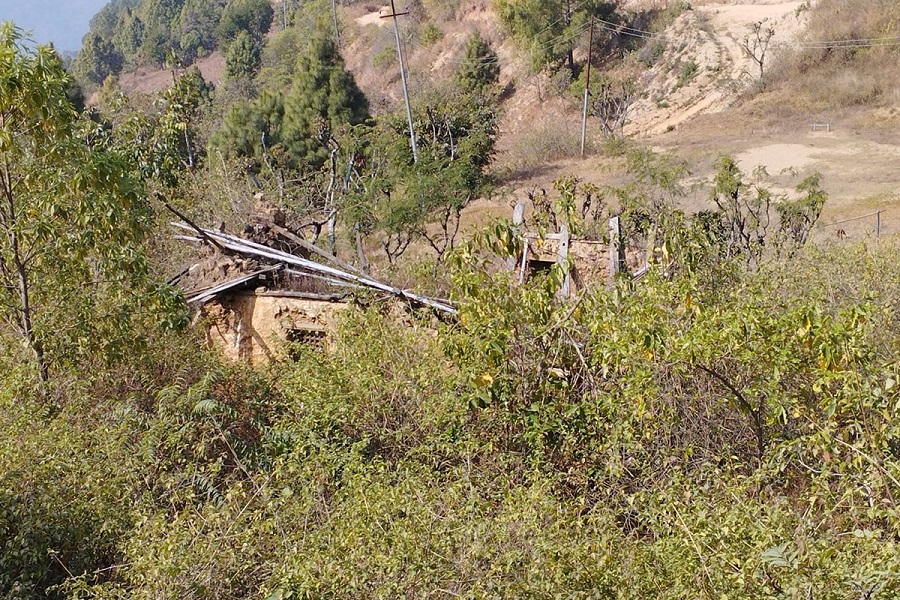 बसाई सराईको प्रभाव : रित्तिंदै पहाड, तराईमा उकुसमुकुस 