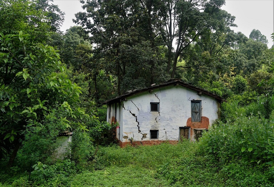 आजभोली गाउँघरमा बाँदरको रजाइँ, खण्डहर बन्न थाल्यो गाउँबस्ती