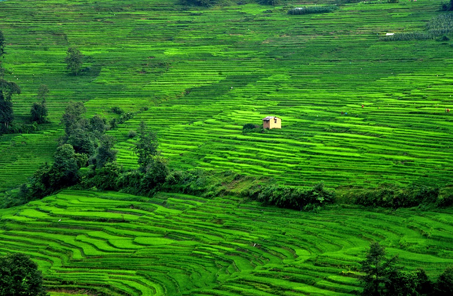 Monsoon kathmandu