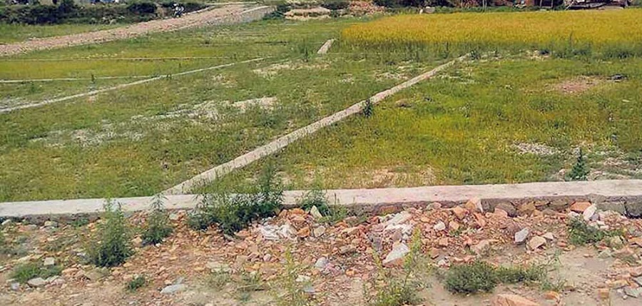 बल्ल खुल्यो जग्गाको कित्ताकाट, अर्थतन्त्र चलयामान हुने पक्कापक्की
