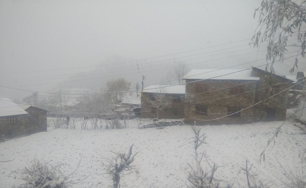 Snow humla rss3