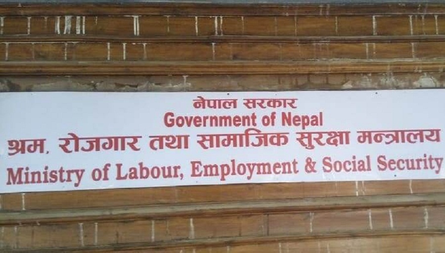 Labour employment social security
