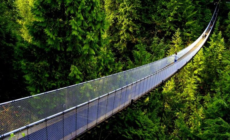 Bridge myagdi