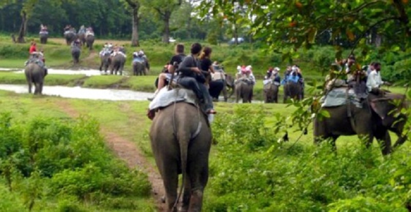 Chitwan