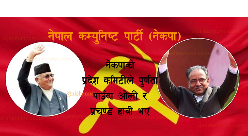 नेकपाले टुंग्यायो प्रदेश कमिटी सदस्यहरुको नाम