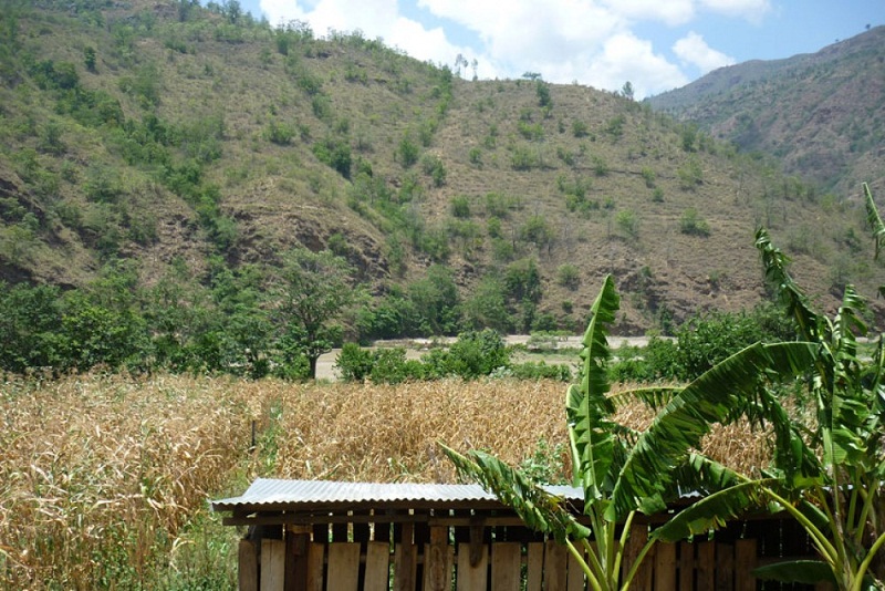  तेह्रथुममा सुख्खाग्रस्त क्षेत्रको अध्ययन गरिने 