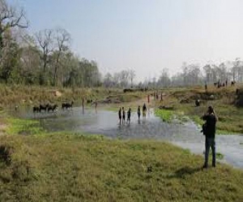 सौराहाको पर्यटक आगन्तुक केन्द्र पुनःसञ्चालन